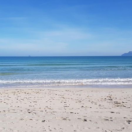 Ideal Property Mallorca - Sa Vinya Vella Αλκούδια Εξωτερικό φωτογραφία