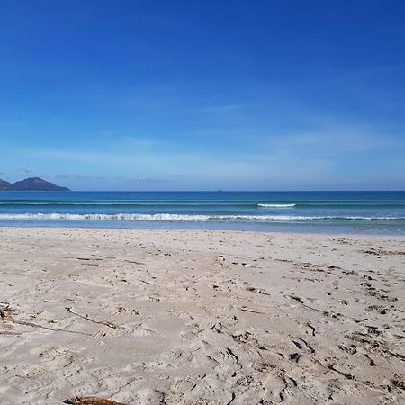 Ideal Property Mallorca - Sa Vinya Vella Αλκούδια Εξωτερικό φωτογραφία