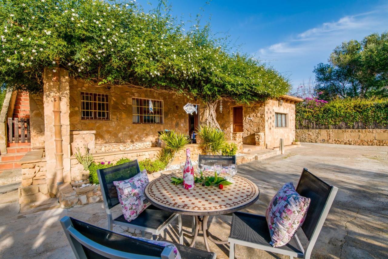 Ideal Property Mallorca - Sa Vinya Vella Αλκούδια Εξωτερικό φωτογραφία