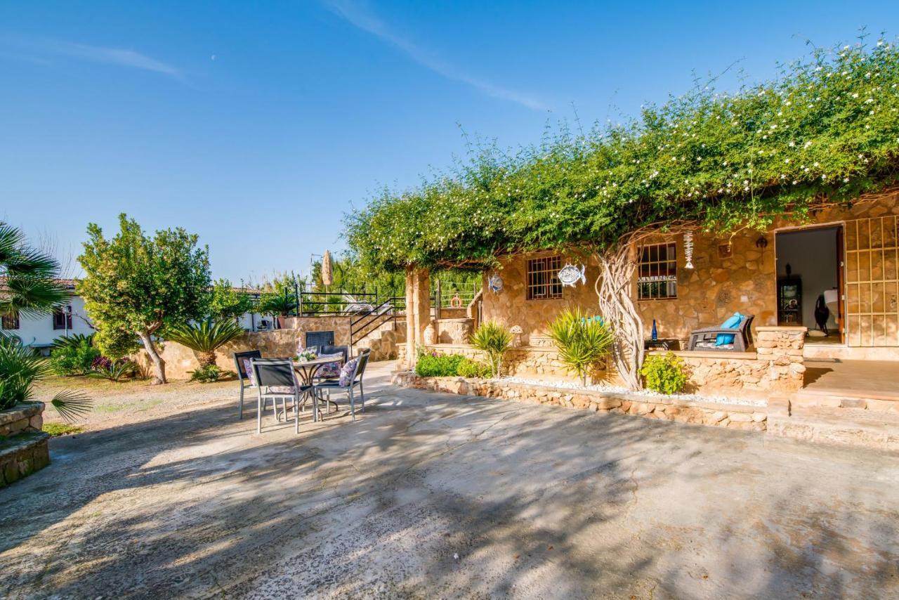 Ideal Property Mallorca - Sa Vinya Vella Αλκούδια Εξωτερικό φωτογραφία