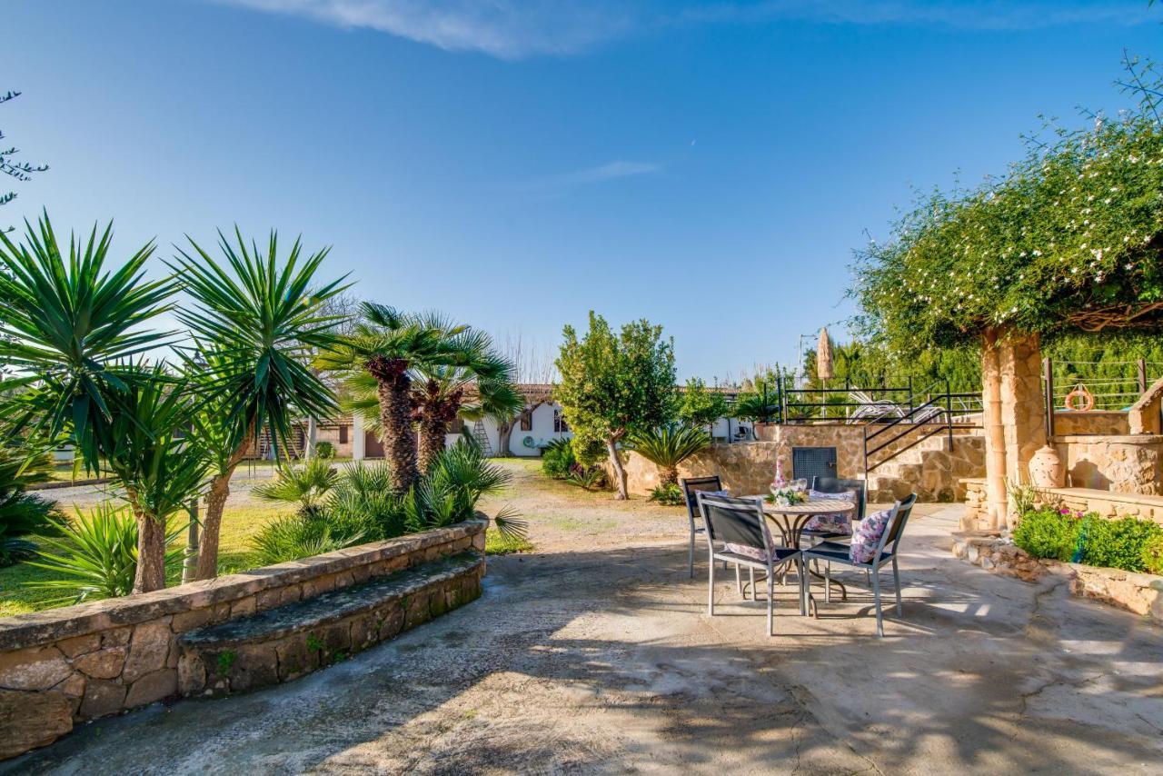 Ideal Property Mallorca - Sa Vinya Vella Αλκούδια Εξωτερικό φωτογραφία