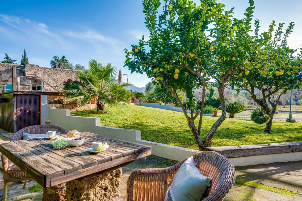 Ideal Property Mallorca - Sa Vinya Vella Αλκούδια Εξωτερικό φωτογραφία