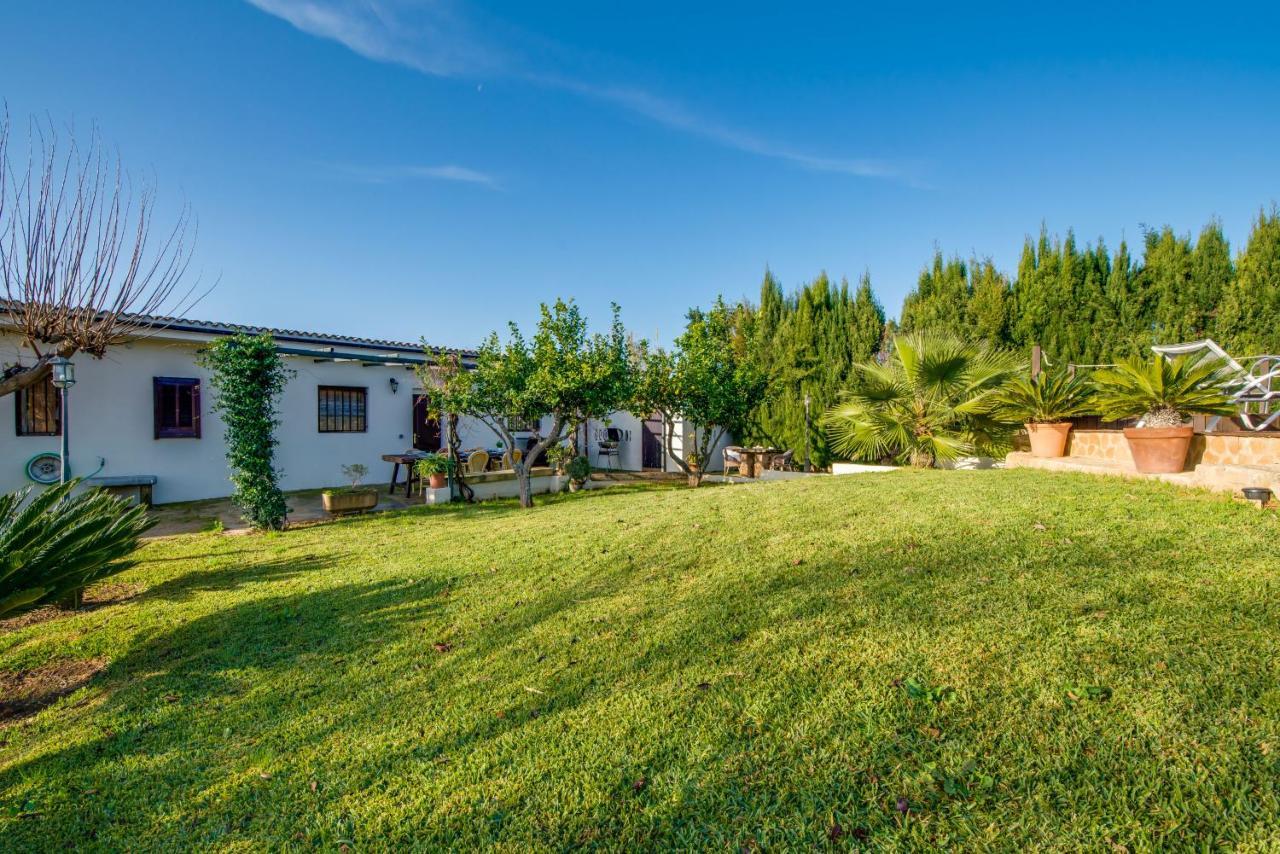 Ideal Property Mallorca - Sa Vinya Vella Αλκούδια Εξωτερικό φωτογραφία