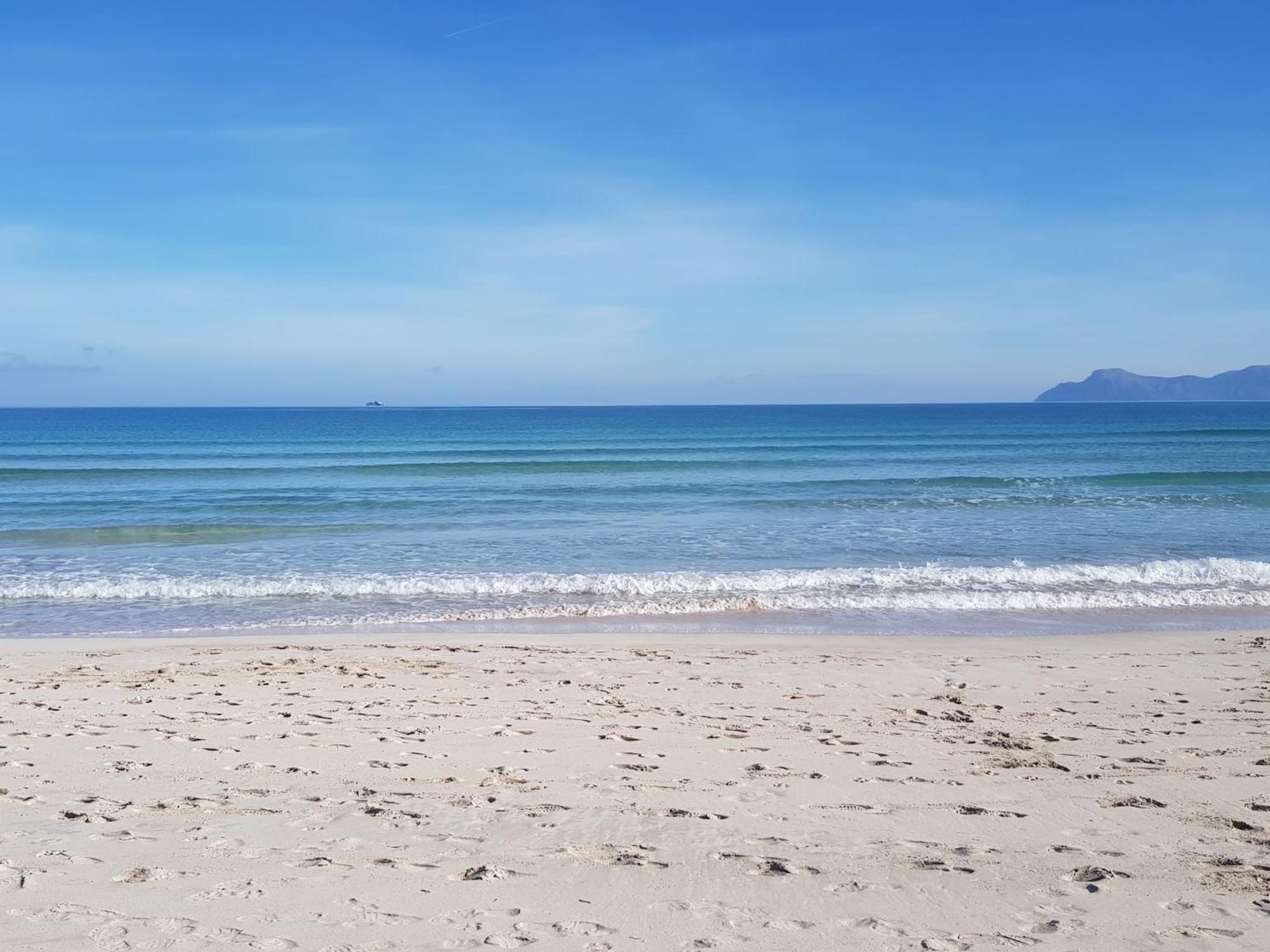 Ideal Property Mallorca - Sa Vinya Vella Αλκούδια Εξωτερικό φωτογραφία