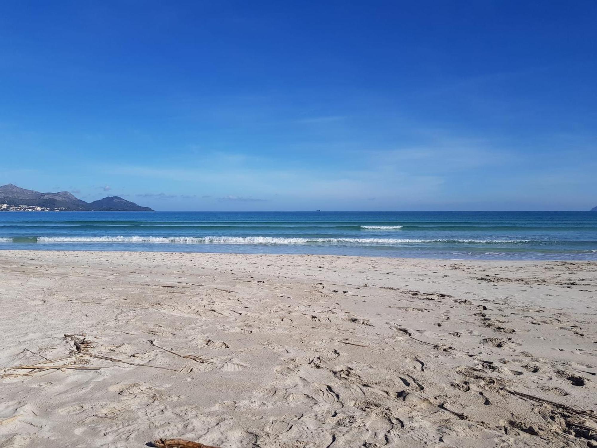 Ideal Property Mallorca - Sa Vinya Vella Αλκούδια Εξωτερικό φωτογραφία